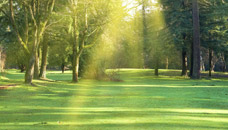 Bibber Memorial Chapel